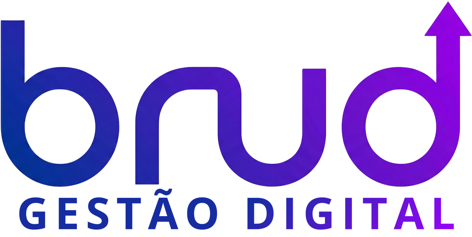 BRUD Gestão Digital
